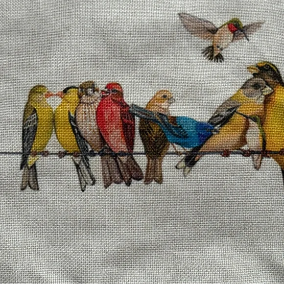 Cushion Cover For a Small Pillow With Colorful Bird Print - Picture 3 of 7